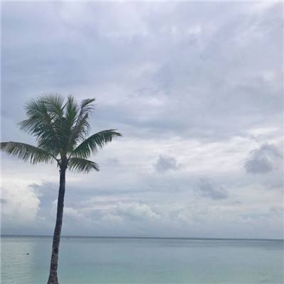 乐鱼app(中国体育)官方网站下载手机版