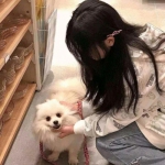 bob体育下载地址